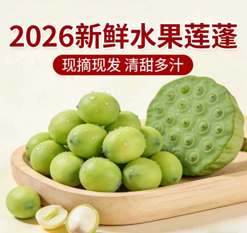 海南新鲜水果莲蓬，基地直供全国各地发货莲蓬莲子