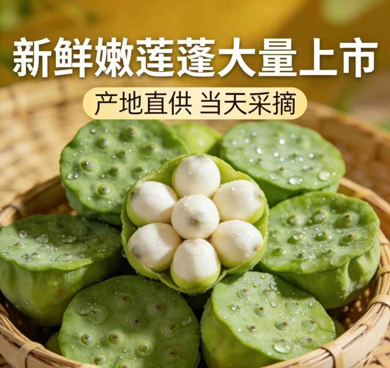 海南新鲜水果莲蓬，基地直供全国各地发货莲蓬莲子