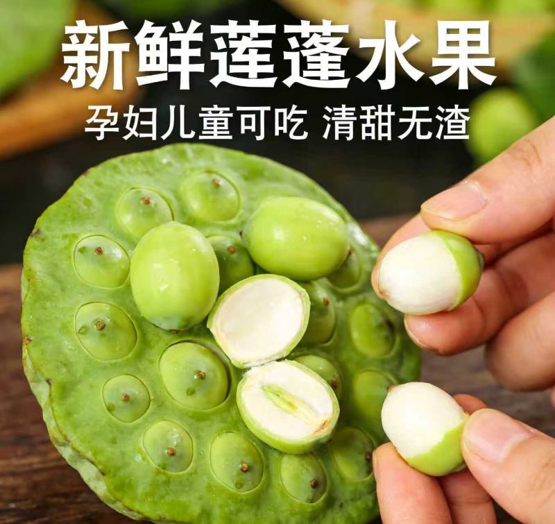 海南新鲜水果莲蓬，基地直供全国各地发货莲蓬莲子