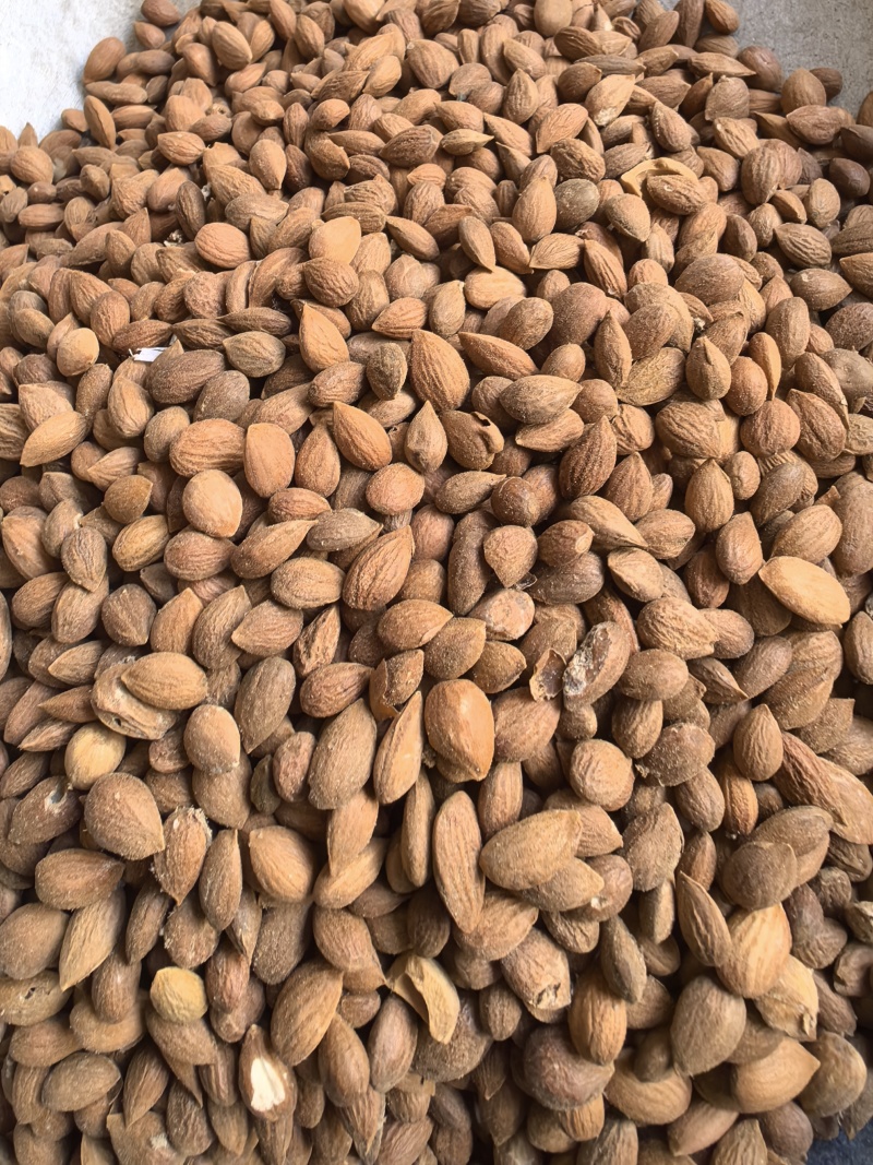 郁李仁选货饱满颜色好无壳无杂质品质保证价格实惠
