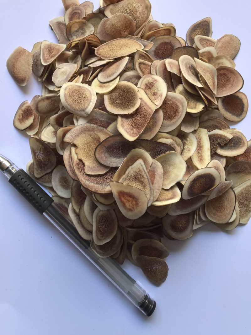 鹿角片纯干货片型好可代加工打粉品质保证价格实惠