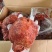 卤猪腱子熟食五香卤猪腱子全熟卤猪腱子