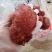 卤味熟食猪小腱子全熟五香卤猪小腱子