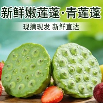 新鲜水果莲蓬基地直供，全国各地可发货超市档口