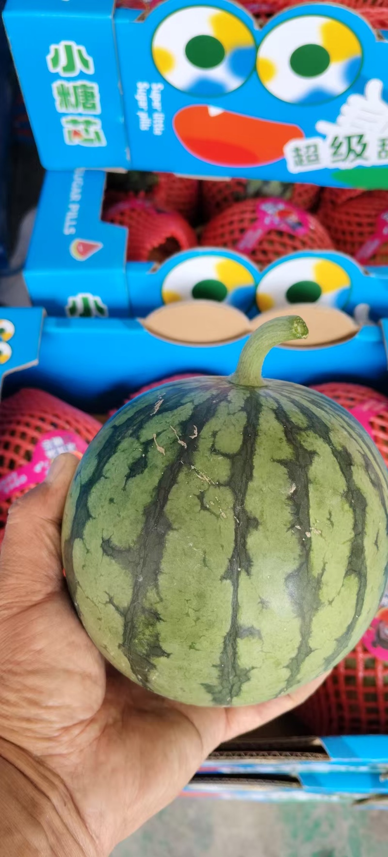 小糖丸西瓜产地直发量大价格可谈皮薄汁多可视频看货