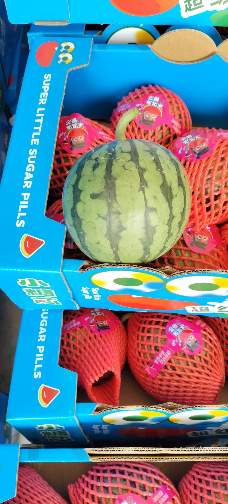 小糖丸西瓜产地直发量大价格可谈皮薄汁多可视频看货