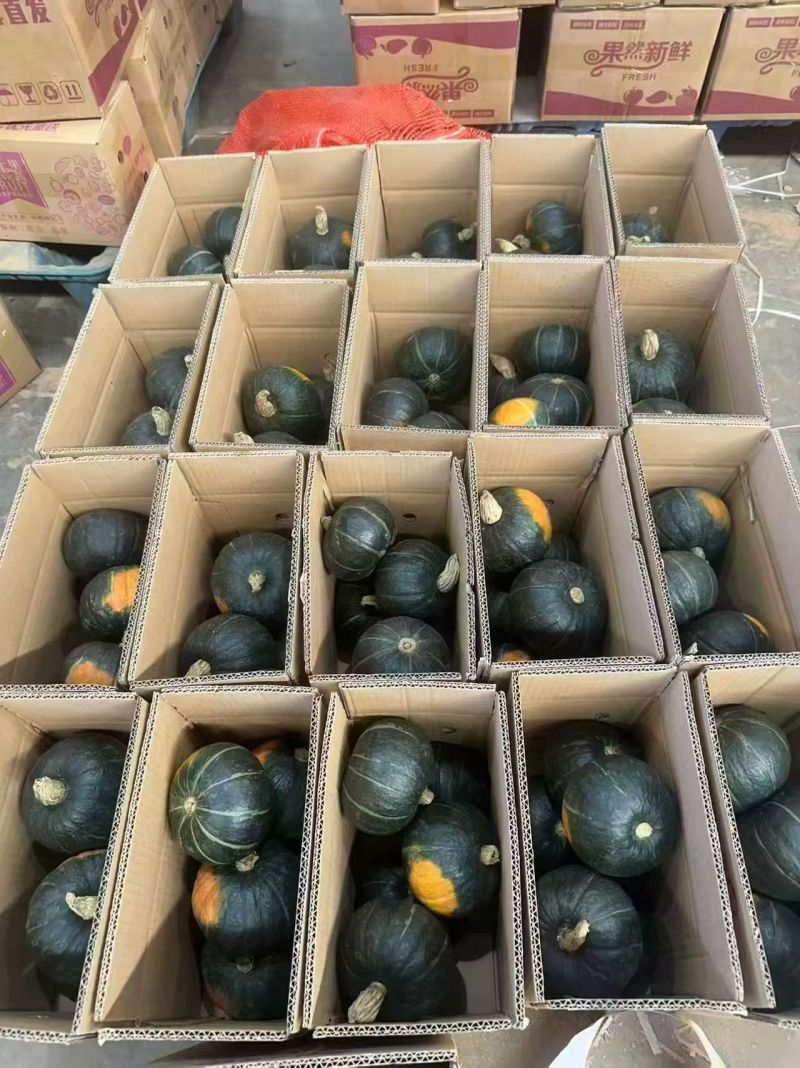 云南香甜粉糯贝贝南瓜
