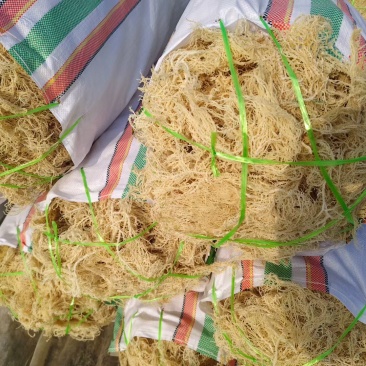 全干龙须菜少盐优质石花菜新晒新货批量定制龙须菜