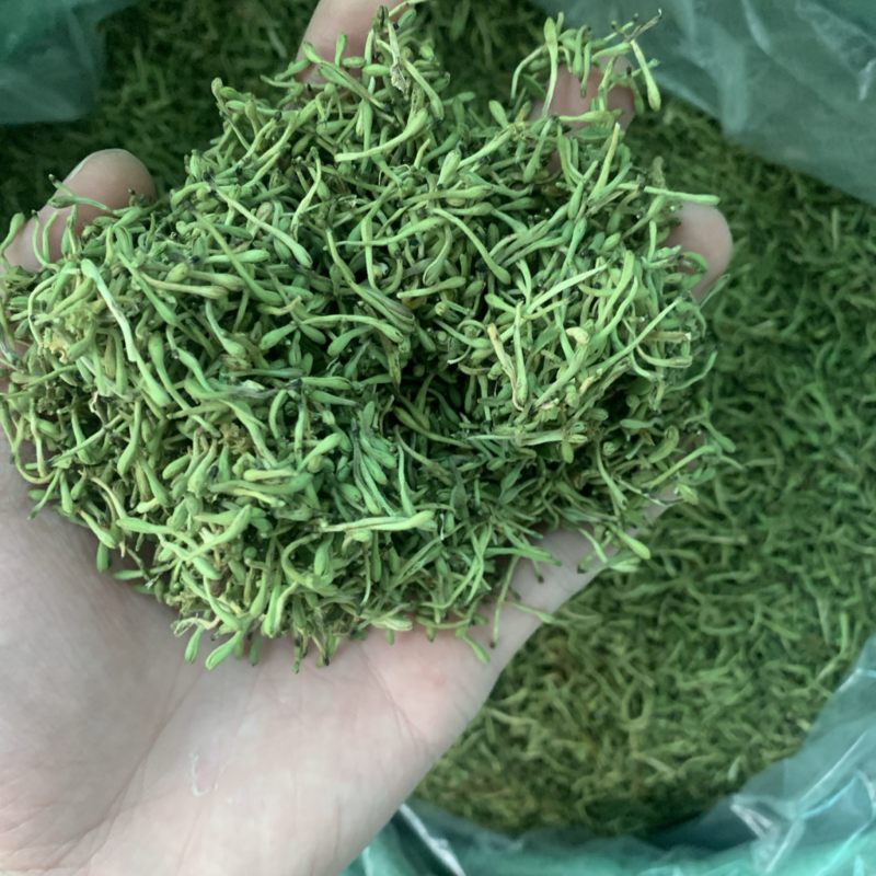 金银花茶