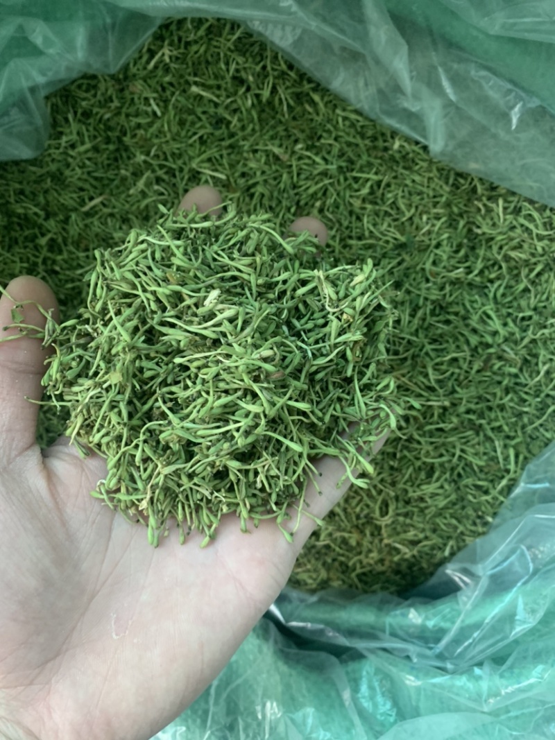 金银花茶