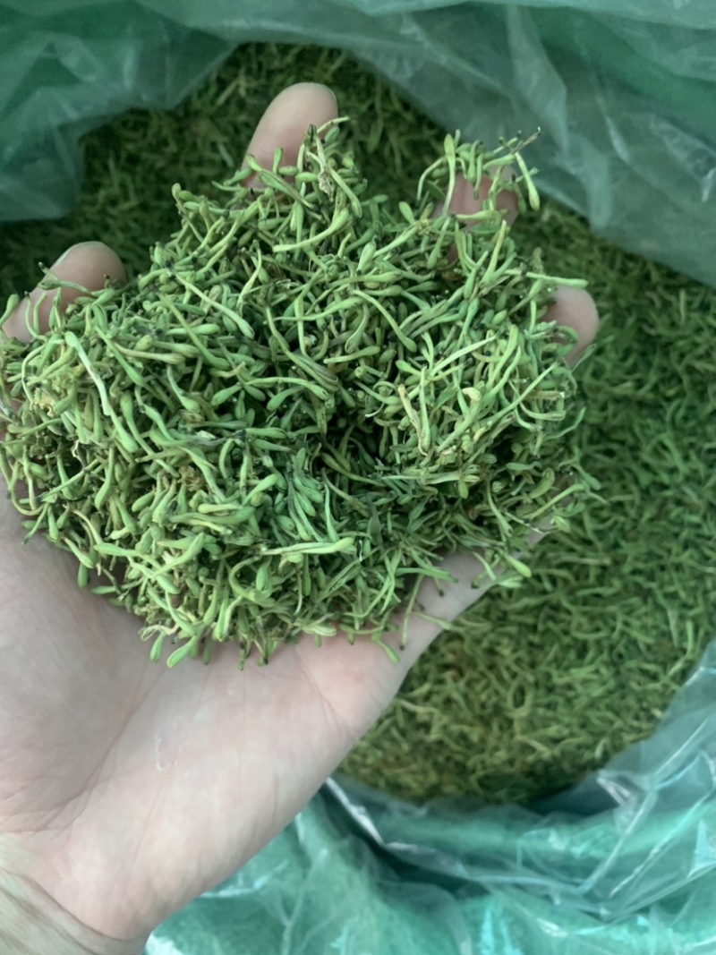 金银花茶