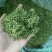 金银花茶