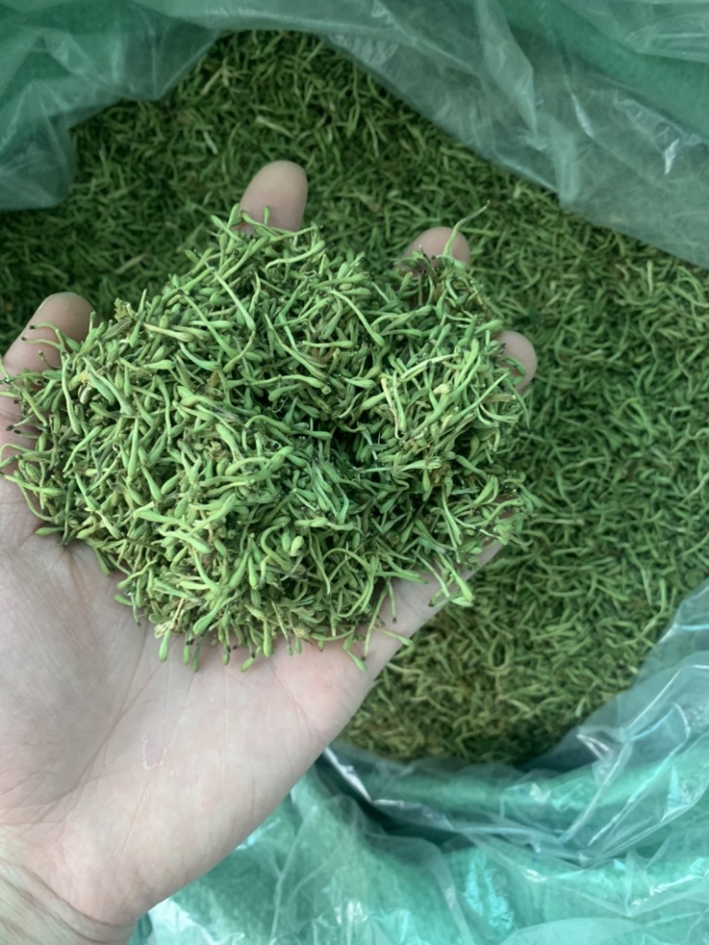 金银花茶