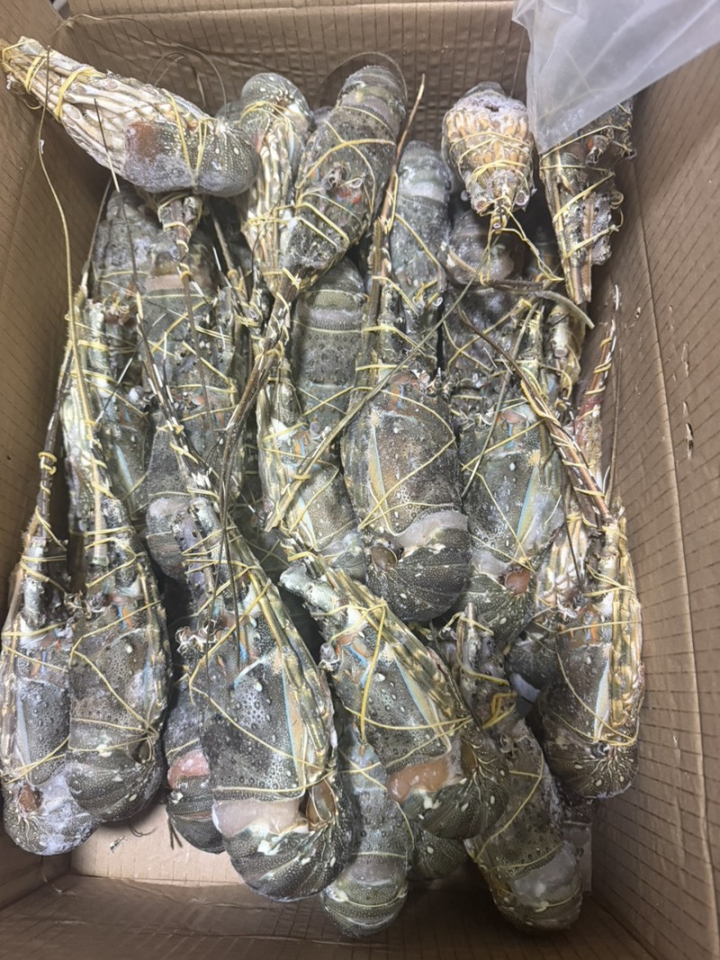 越南小青龙