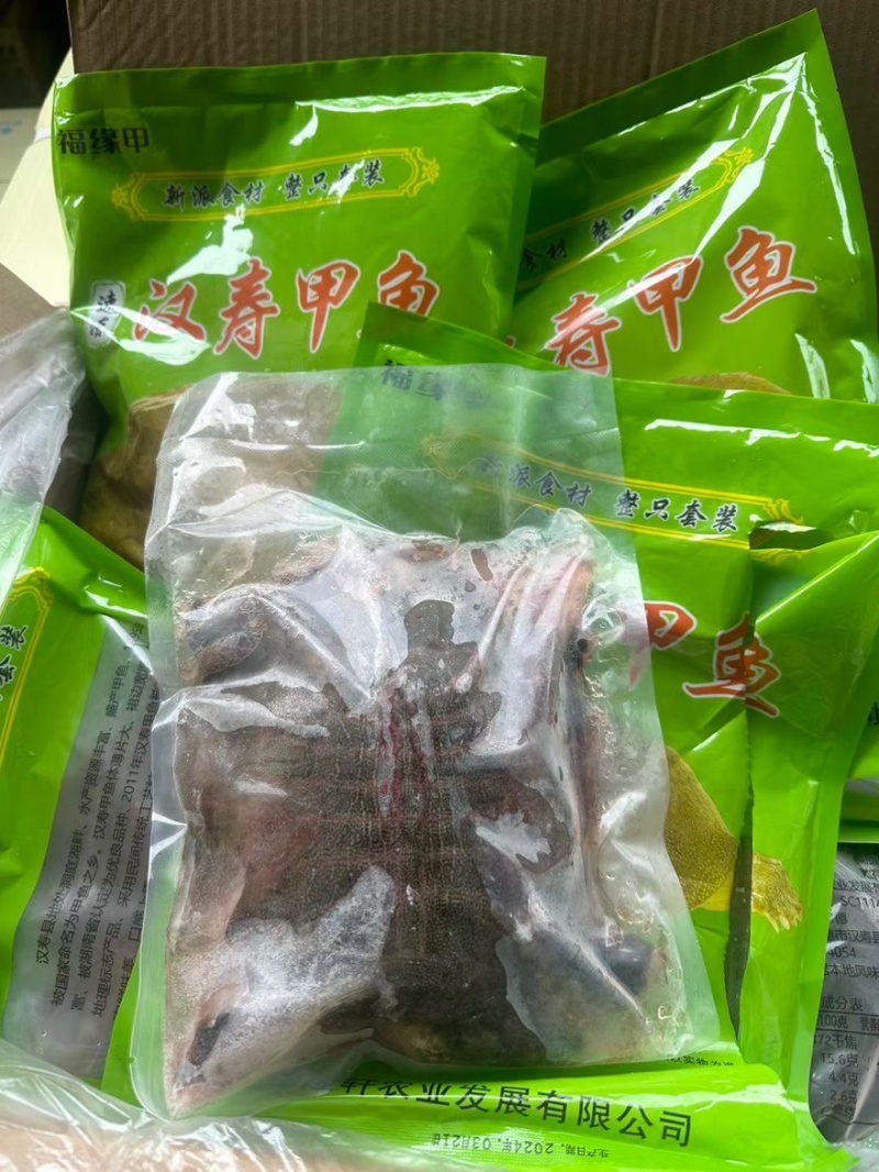 汉寿甲鱼