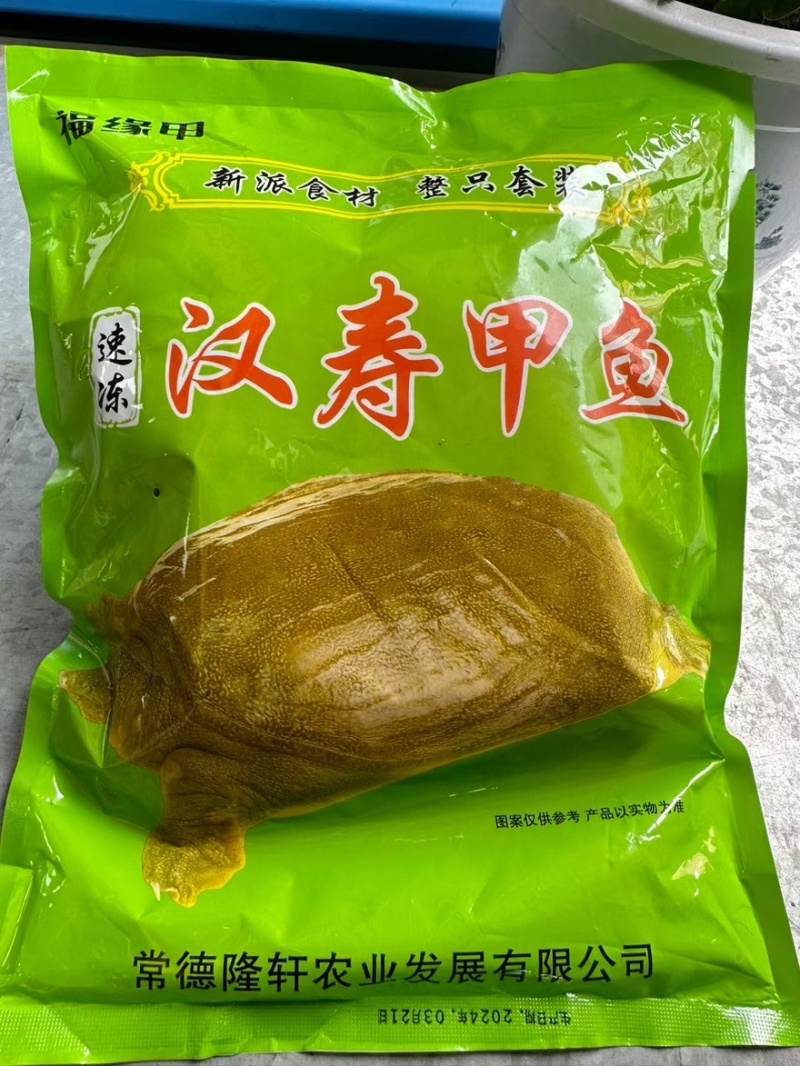 汉寿甲鱼