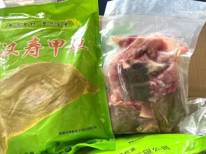 汉寿甲鱼