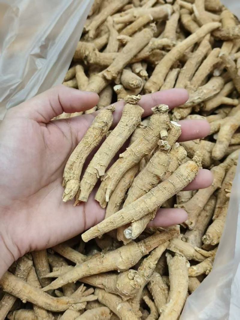 西洋参花旗参整根参条批发零售一件代发泡水煮汤参味浓