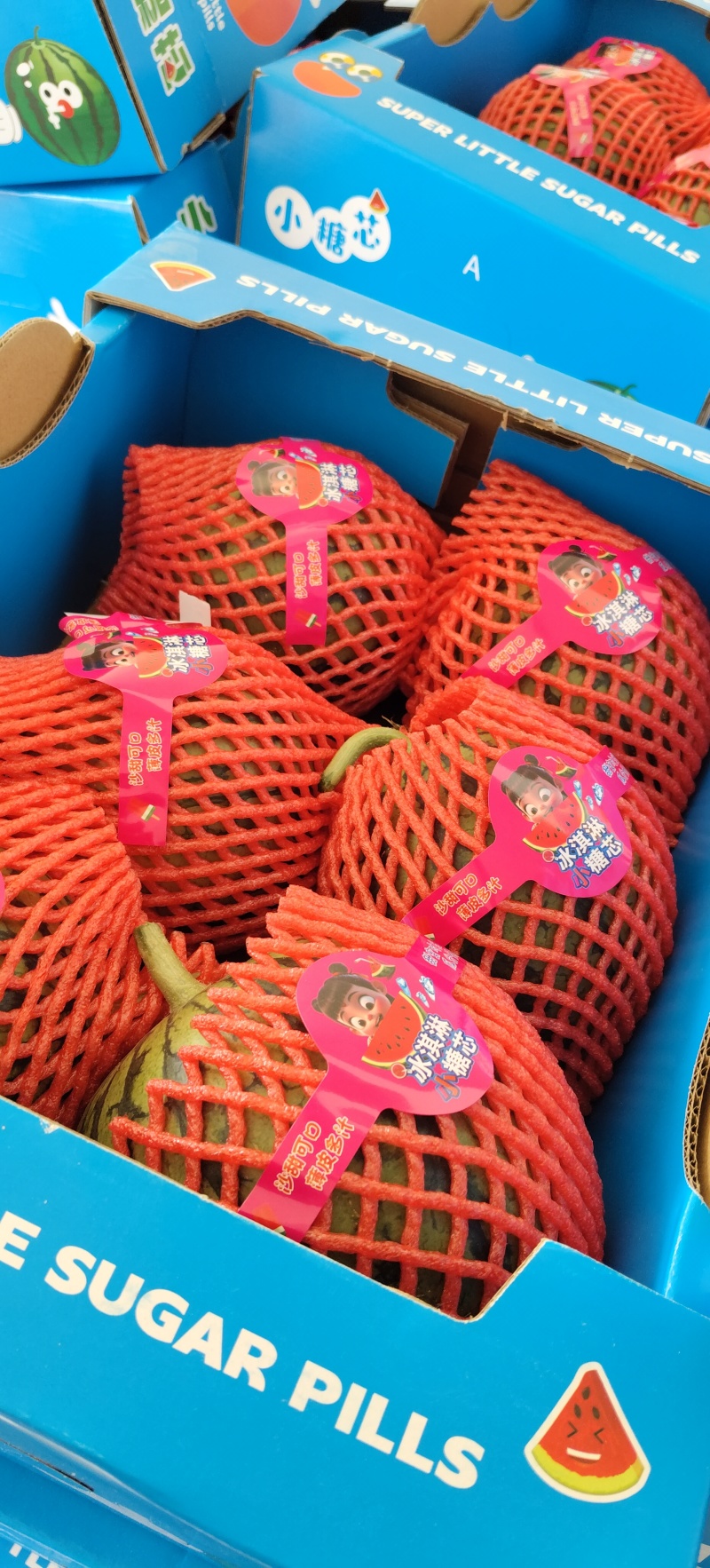 安徽小糖丸西瓜，小西瓜产地直发，各种瓜都有，诚信第一