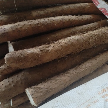 铁棍山药切片货