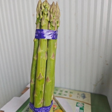 芦笋基地直供，产地一手价，新鲜芦笋现采现发