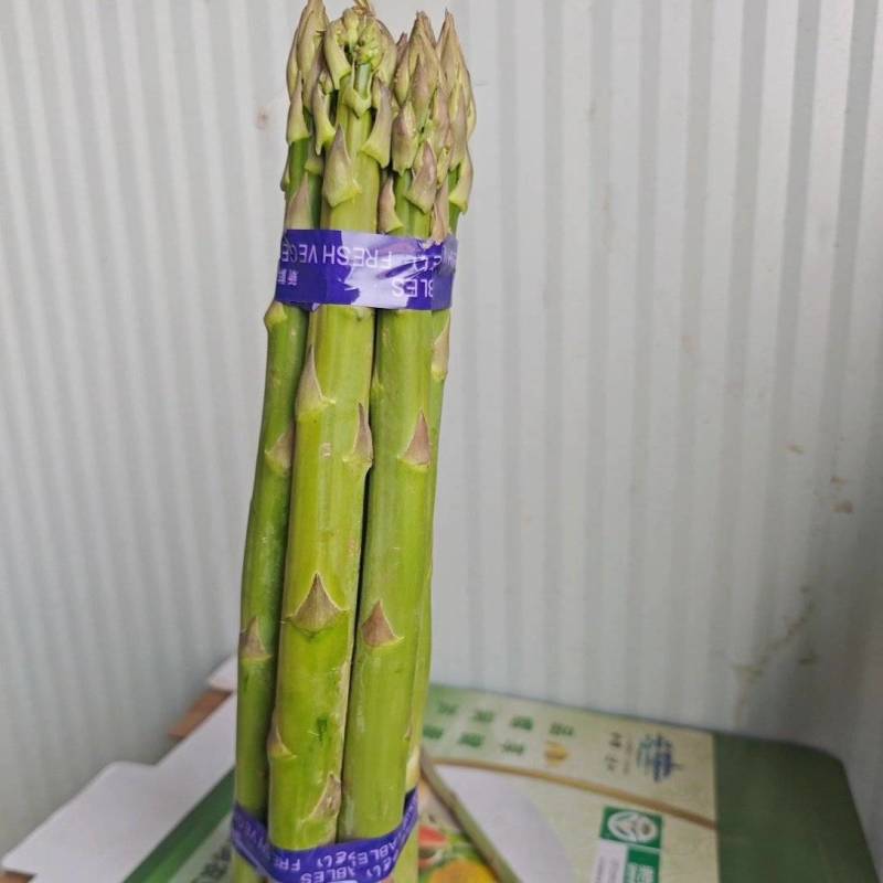 芦笋基地直供，产地一手价，新鲜芦笋现采现发