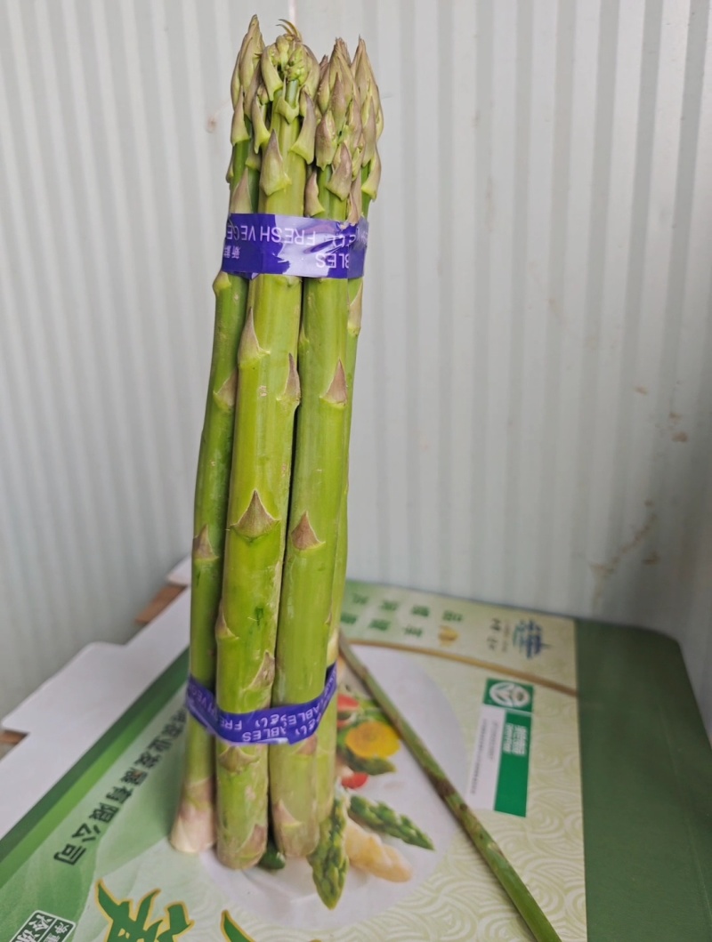 芦笋基地直供，产地一手价，新鲜芦笋现采现发