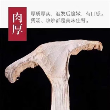 羊肚菌现货货基地直供对接市场商超