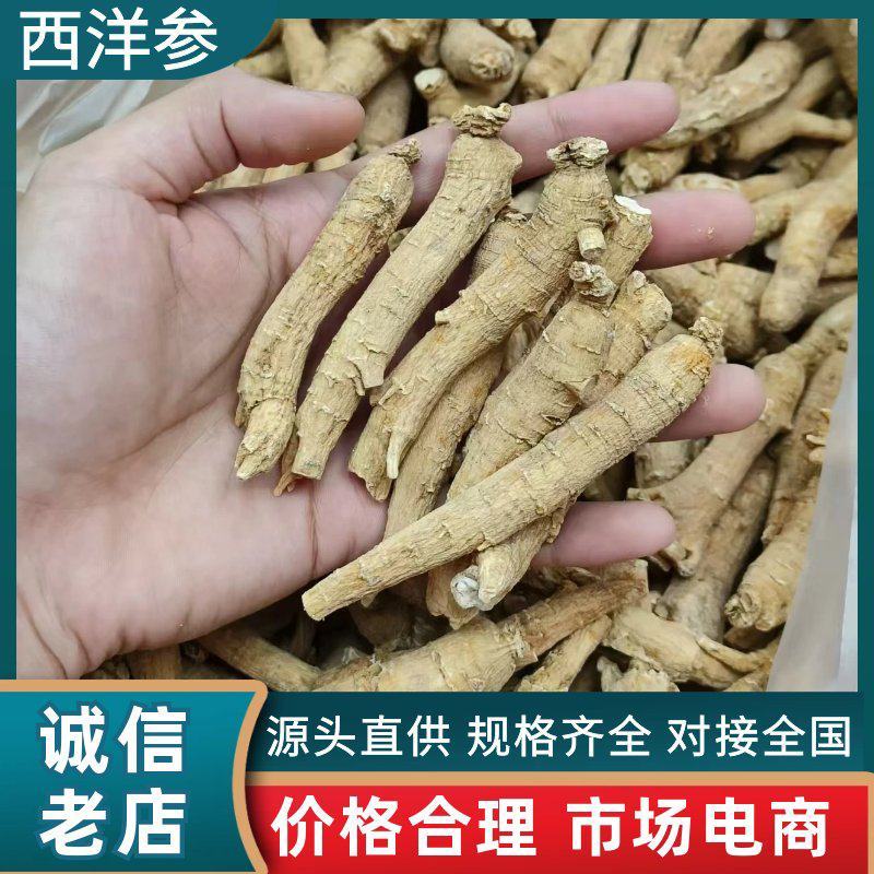 西洋参花旗参整根参条批发零售一件代发泡水煮汤参味浓