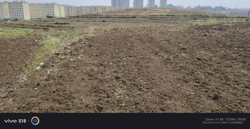 有没有要要租地的，土质肥沃，广南县城附近，水方便，路通，