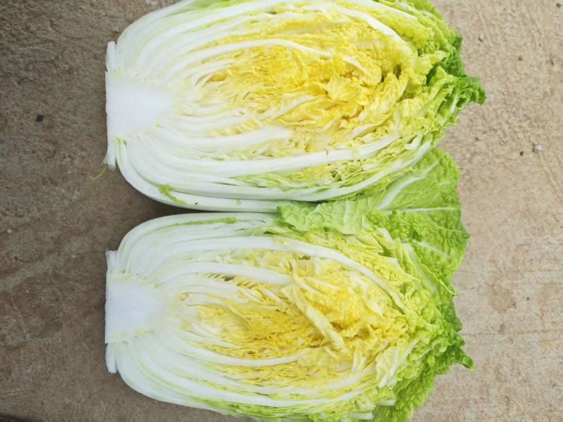 娃娃菜