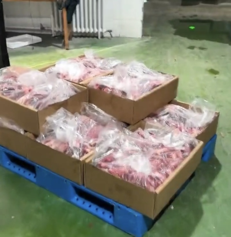 四分体