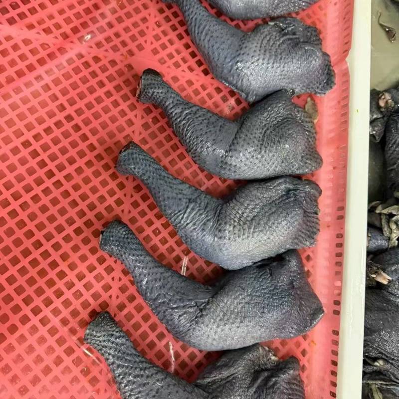 乌鸡排腿