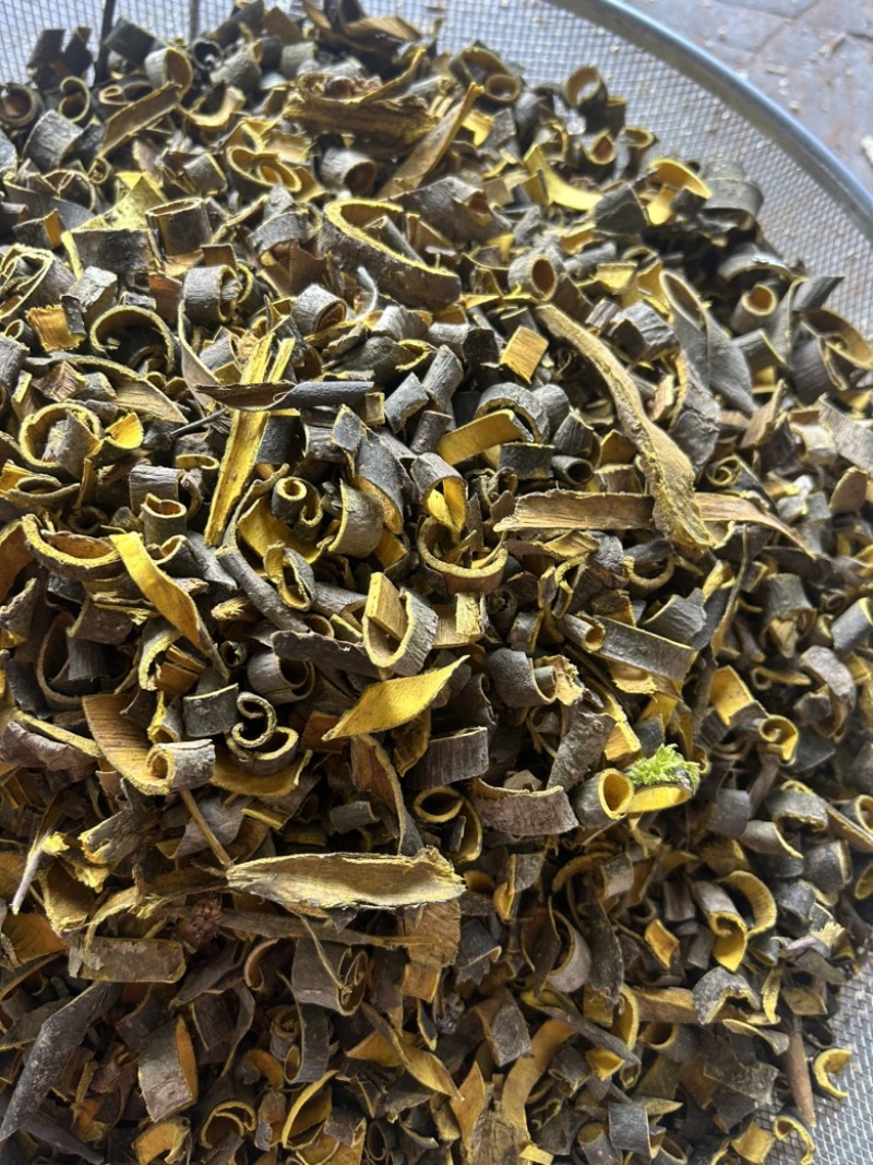 黄柏现货实拍视频道地药材过筛货