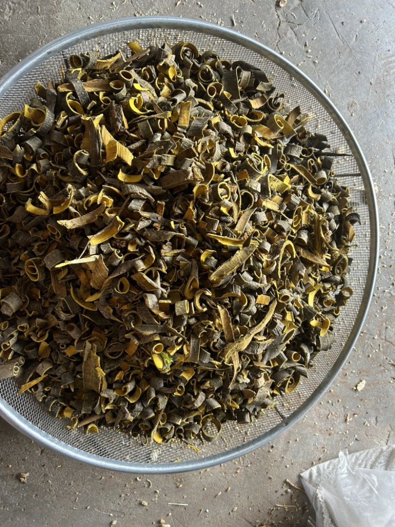 黄柏现货实拍视频道地药材过筛货