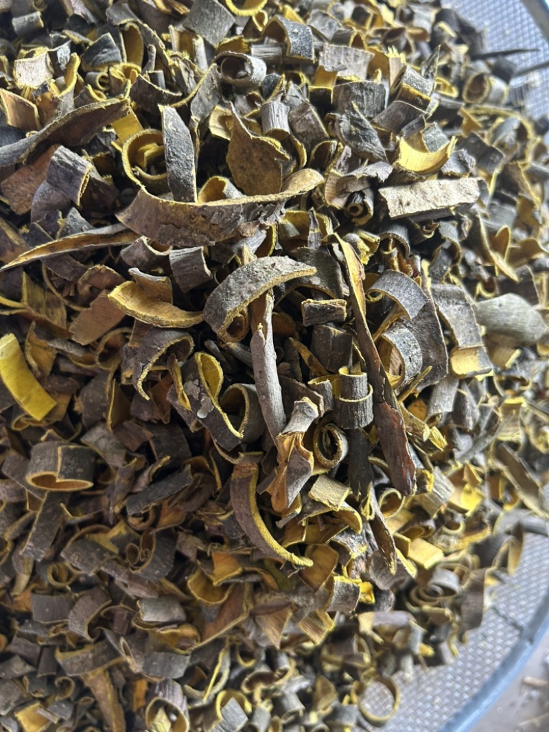 黄柏现货实拍视频道地药材过筛货