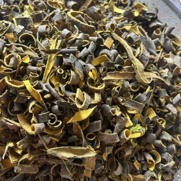 黄柏现货实拍视频道地药材过筛货