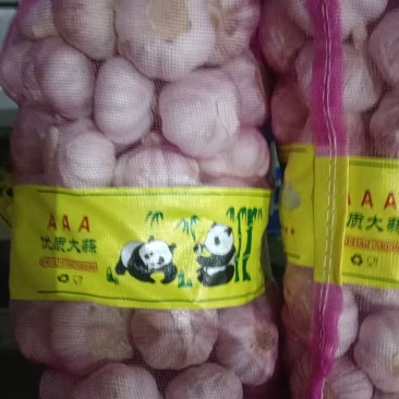 精品大蒜