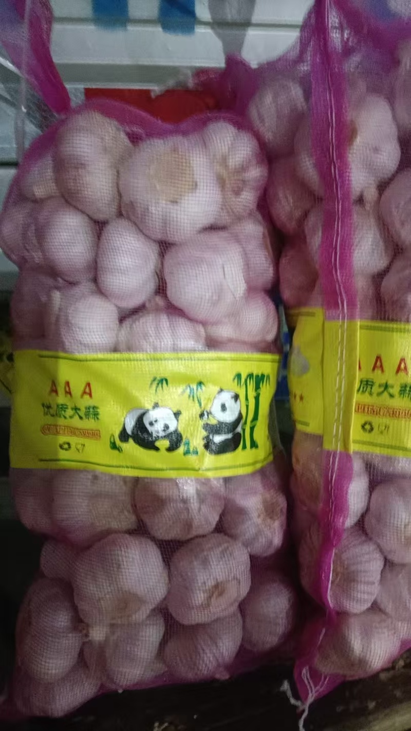 精品大蒜