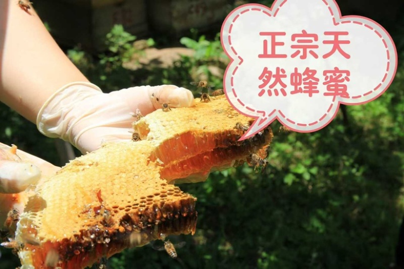 自家养的***蜂蜜