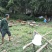 自家养的***蜂蜜