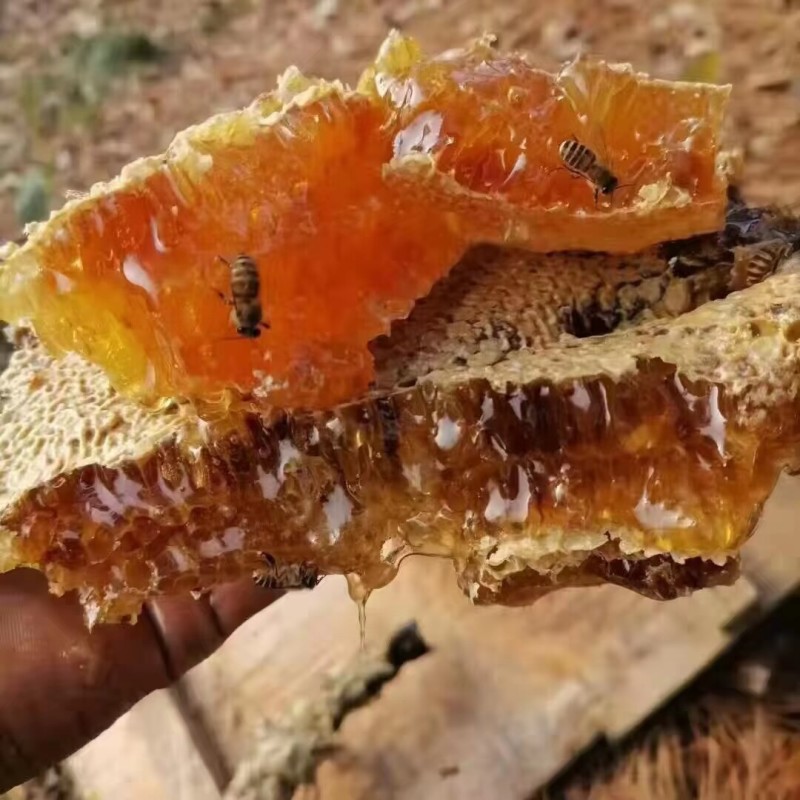 ******土蜂蜜