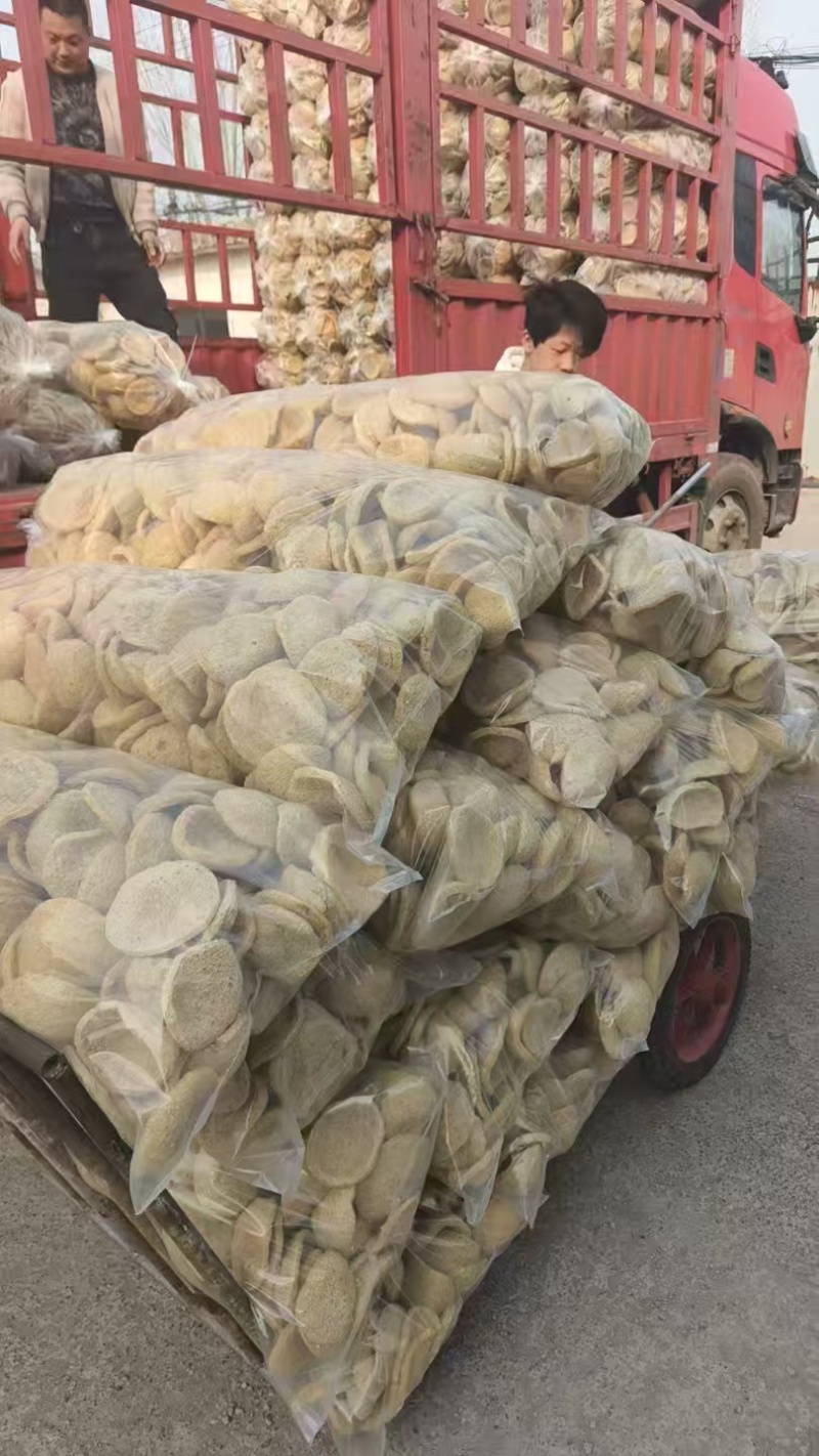 精品脆皮豆腐全国发货量大价优欢迎随时联系