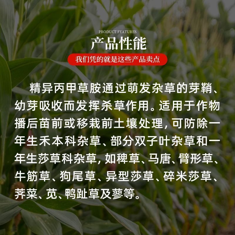 金都嘟尔精异丙甲草胺苗前封闭药封闭草籽高含量苗前封闭药封