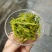 2026恩施玉露蒸青绿茶明前一级嫩芽叶鲜甜回甘栗香足