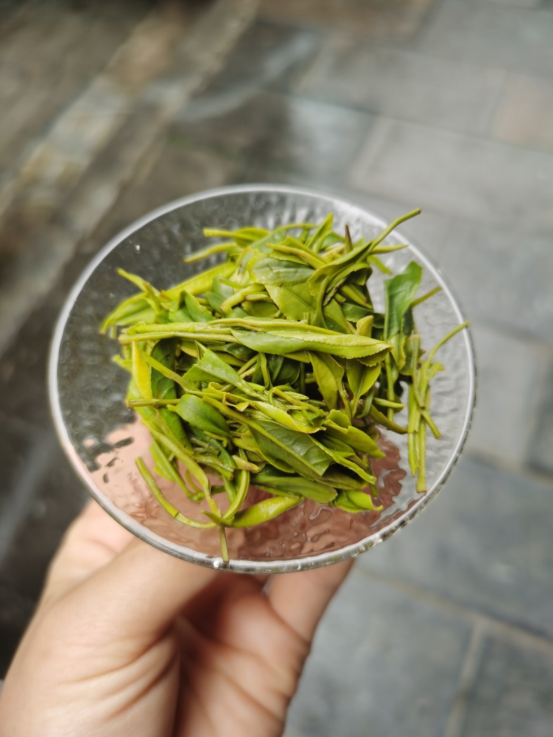 2026恩施玉露蒸青绿茶明前一级嫩芽叶鲜甜回甘栗香足