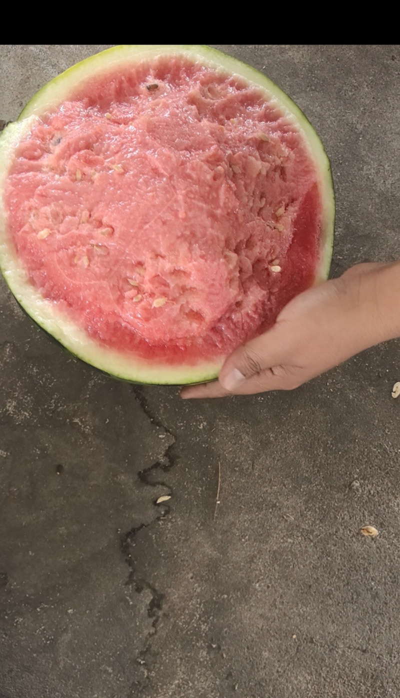 云南冰糖麒麟西瓜。