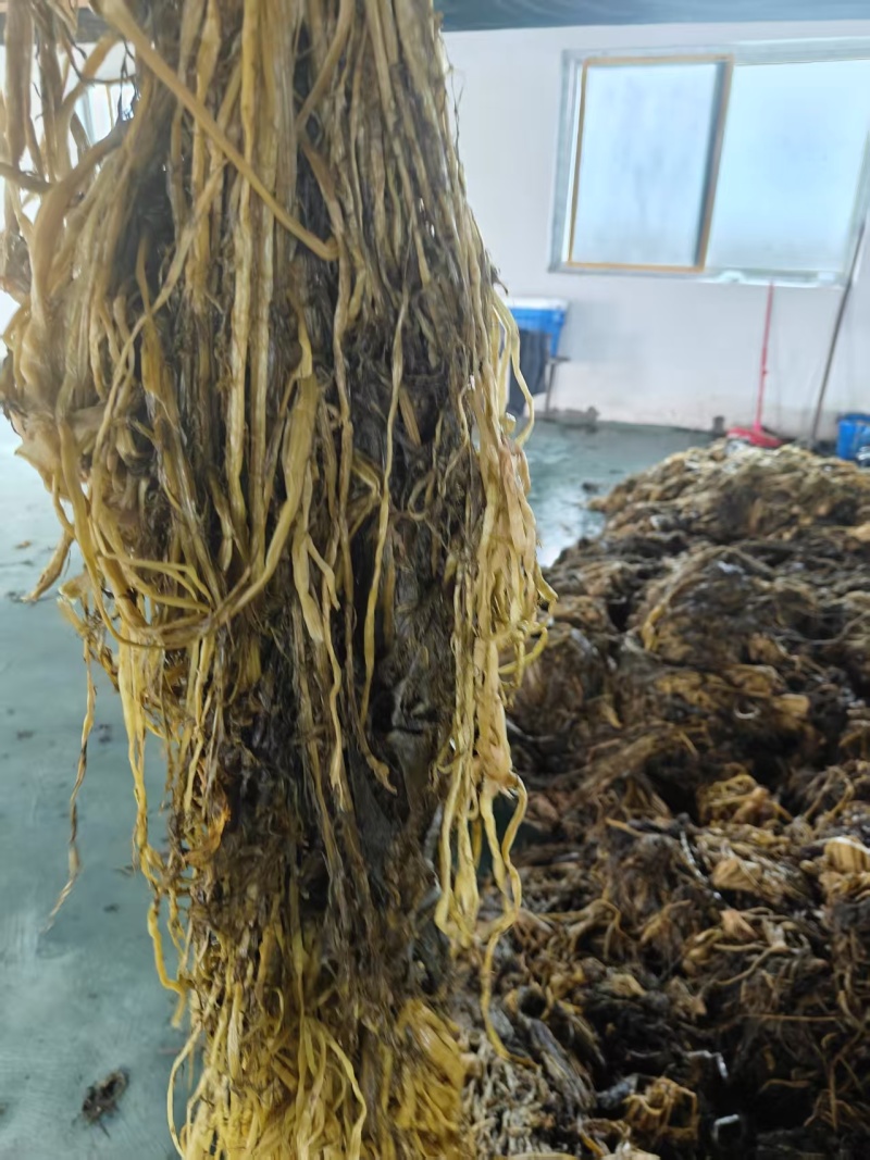 湖北雪里红梅干菜对接全国量大从优价格美丽欢迎询价