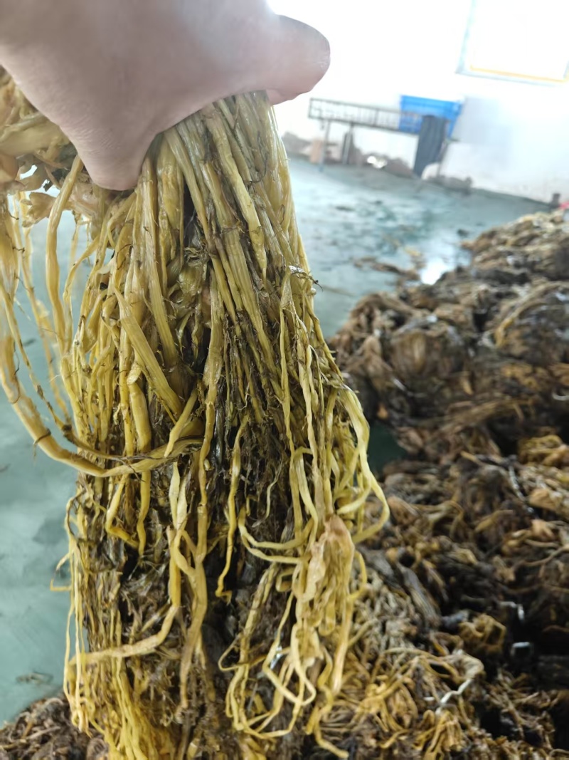 湖北雪里红梅干菜对接全国量大从优价格美丽欢迎询价