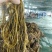 湖北雪里红梅干菜对接全国量大从优价格美丽欢迎询价